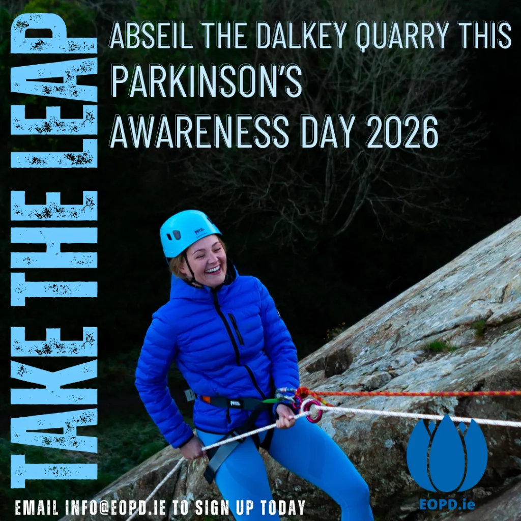 Poster for the Take the Leap abseil fundraiser